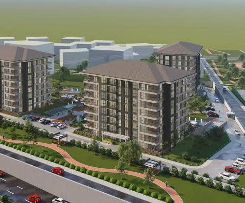 WhatsApp Image 2025-02-02 at 17.48.47 (1)