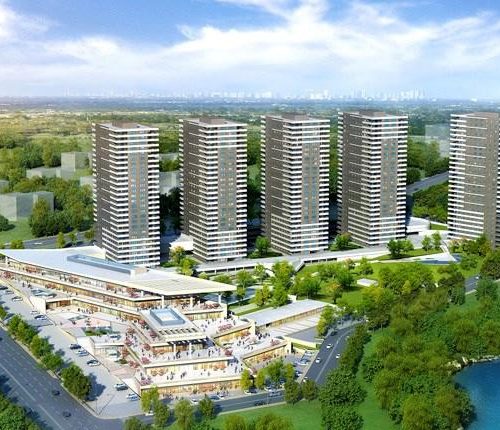 kasmir-mavi-orkide-1