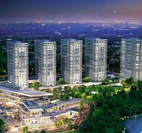 kasmir-mavi-orkide-2